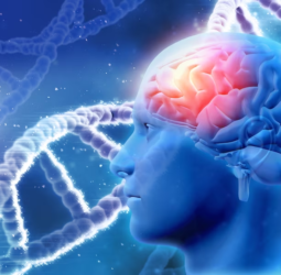 DR. LUIS CABRERA GONZALES