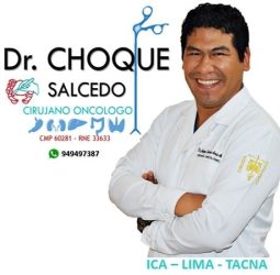 DR. AURIS ALBERTO CHOQUE SALCEDO